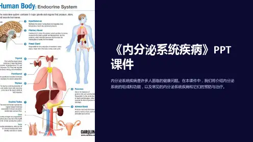 《内分泌系统疾病》课件