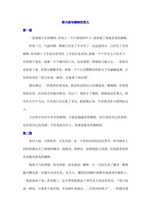 春天描写柳树的范文