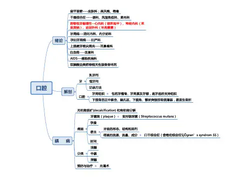 口腔科思维导图：口腔复习