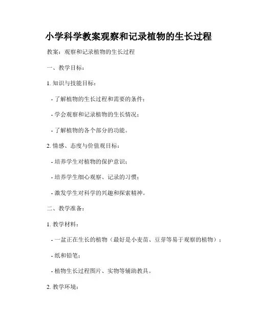 小学科学教案观察和记录植物的生长过程