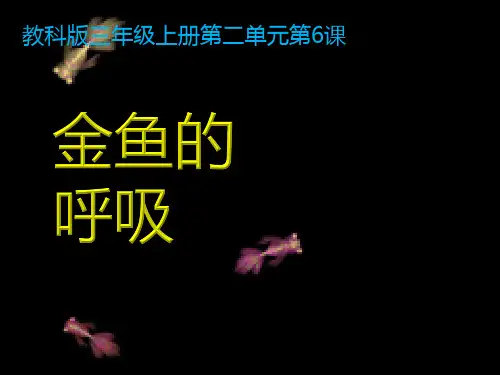 教科科学三上《2金鱼》[