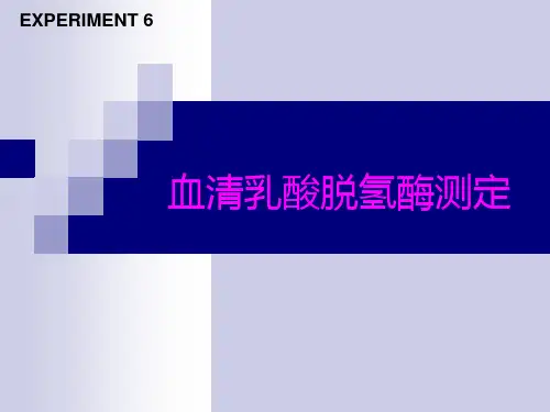 血清乳酸脱氢酶测定