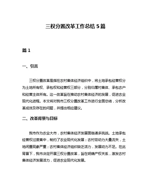 三权分置改革工作总结5篇
