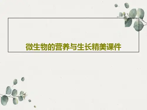 微生物的营养与生长精美课件114页PPT