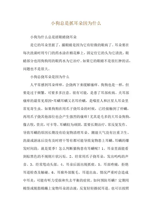 小狗总是抓耳朵因为什么