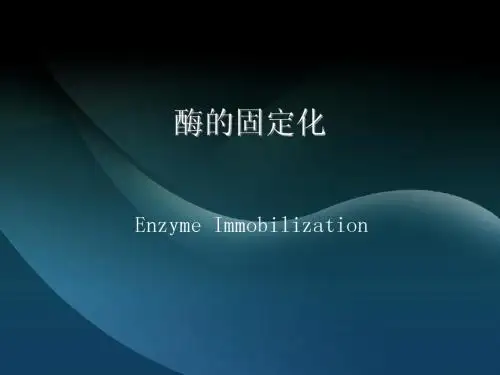 酶的固定化