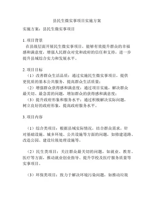 县民生微实事项目实施方案