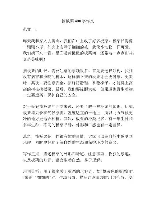 摘板栗400字作文