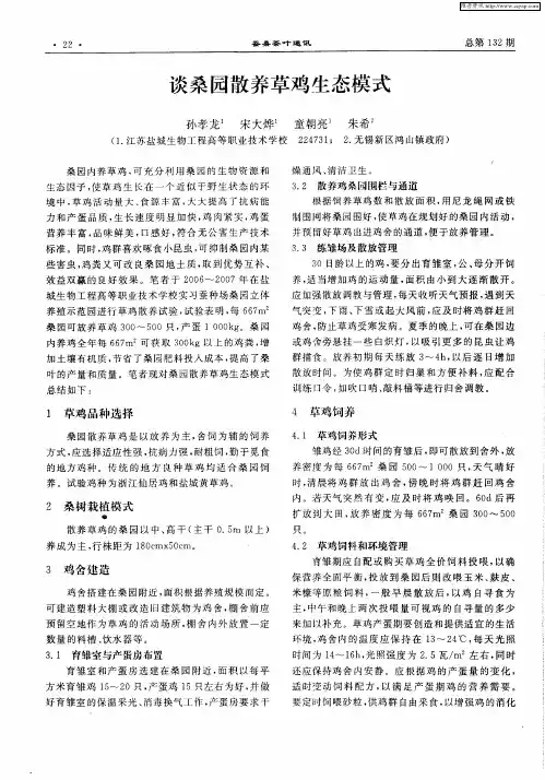 谈桑园散养草鸡生态模式