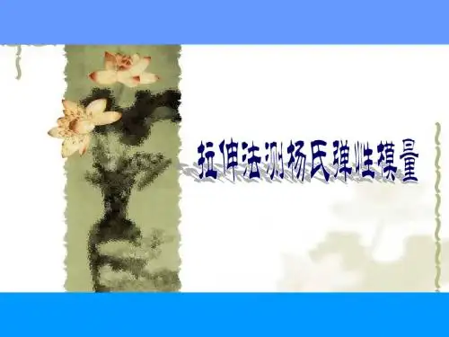 杨氏