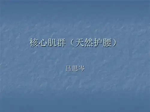 核心肌群功能与训练方式.ppt