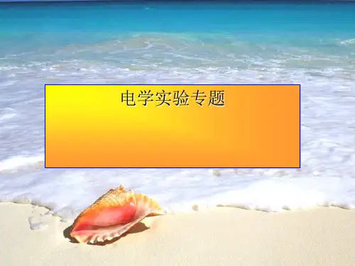 中考物理电学实验专题复习ppt