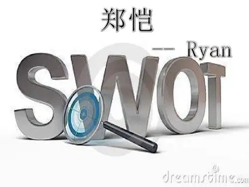 郑恺swot