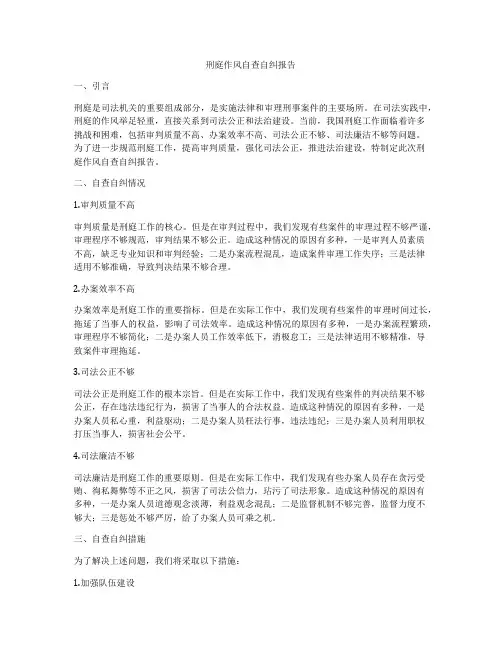 刑庭作风自查自纠报告