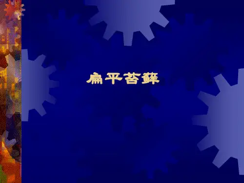 扁平苔藓课件