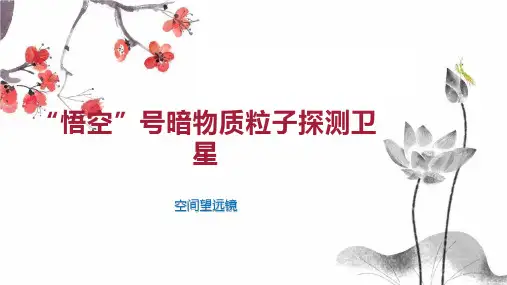 “悟空”号暗物质粒子探测卫星