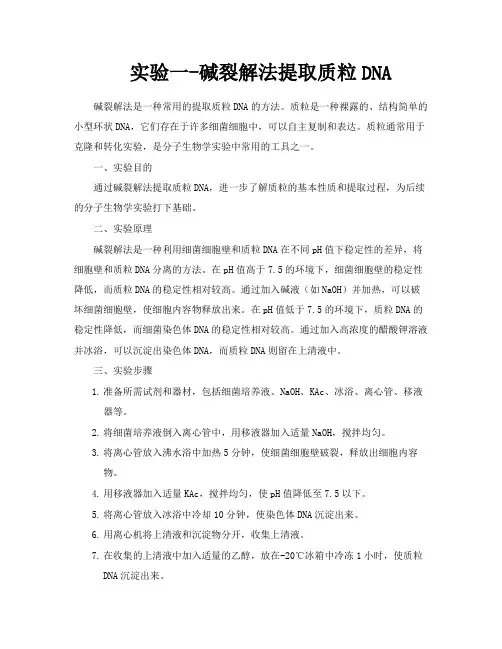 实验一碱裂解法提取质粒DNA
