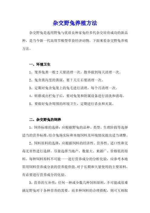 杂交野兔养殖方法