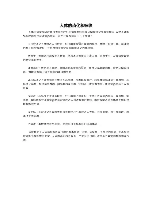 人体的消化和吸收