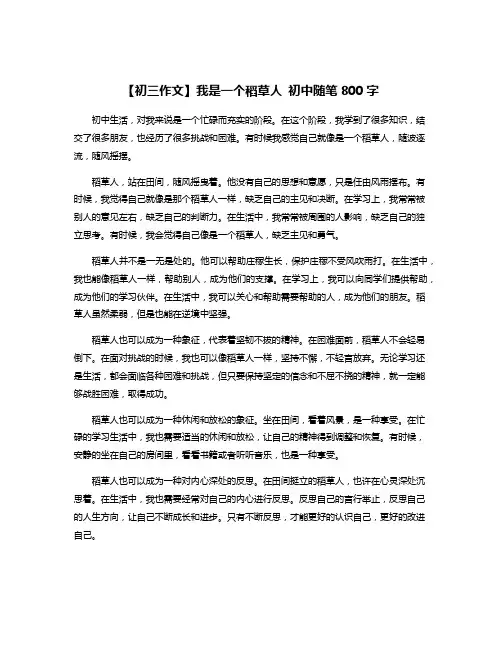 【初三作文】我是一个稻草人 初中随笔800字