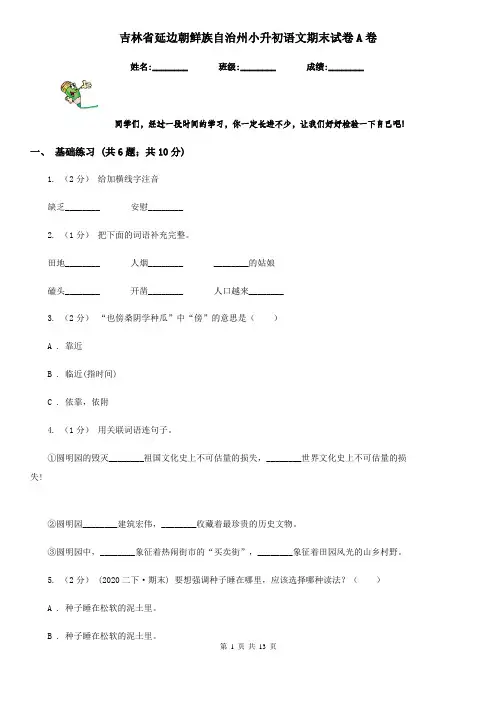 吉林省延边朝鲜族自治州小升初语文期末试卷A卷