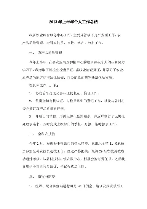 2013年上半年个人总结