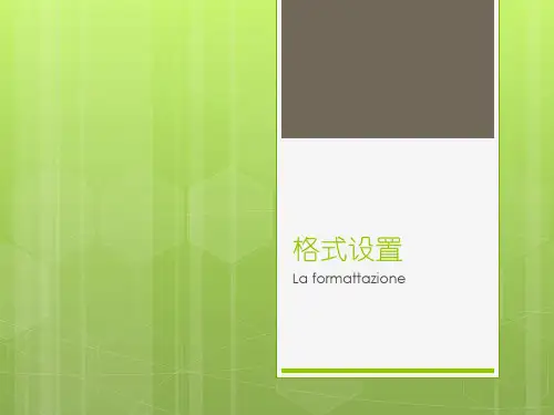 Word 2010格式设置