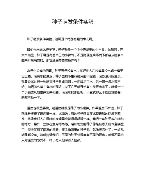 种子萌发条件实验