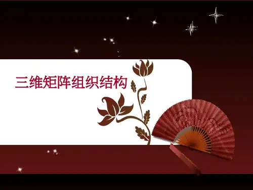 联想集团的组织结构2