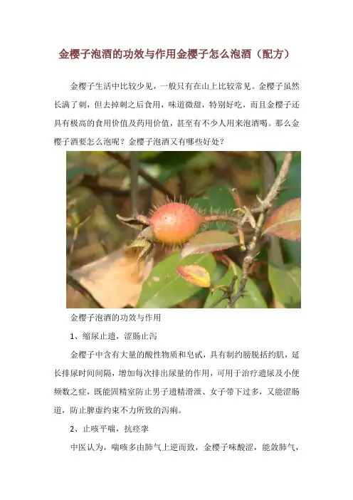金樱子泡酒的功效与作用 金樱子怎么泡酒(配方)