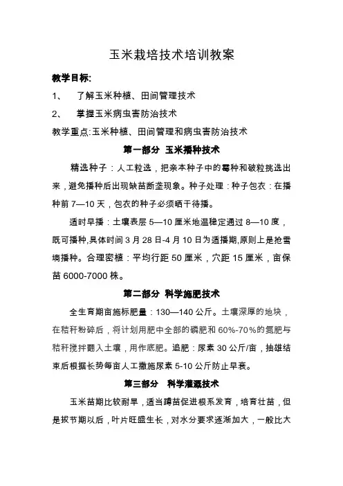 玉米栽培技术培训教案 