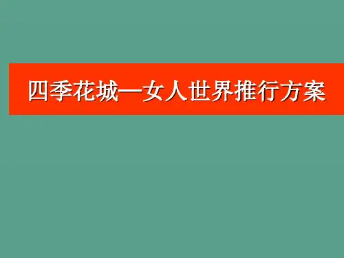 万科-女人街推广方案ppt课件