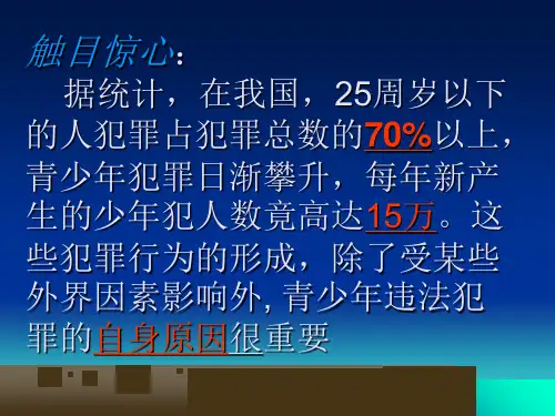法律伴我成长PPT课件