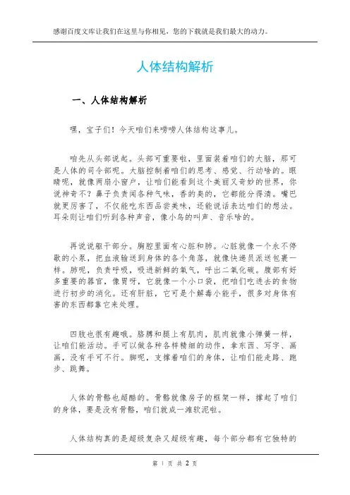 人体结构解析