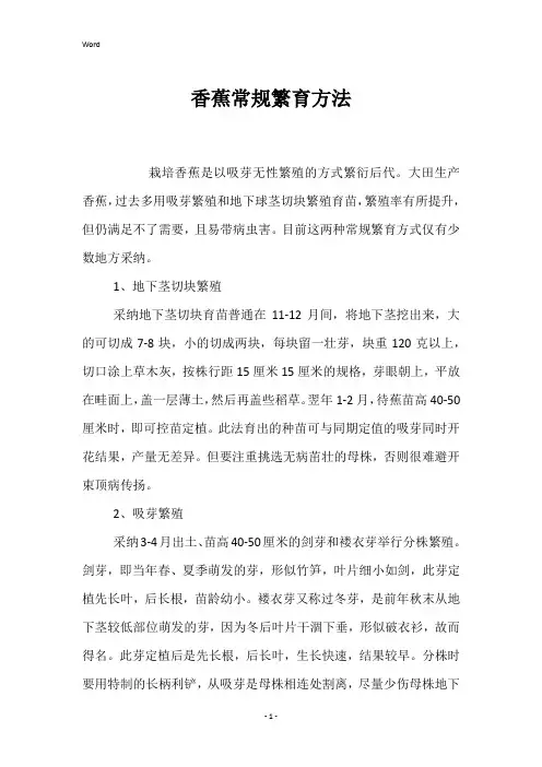 香蕉常规繁育方法 
