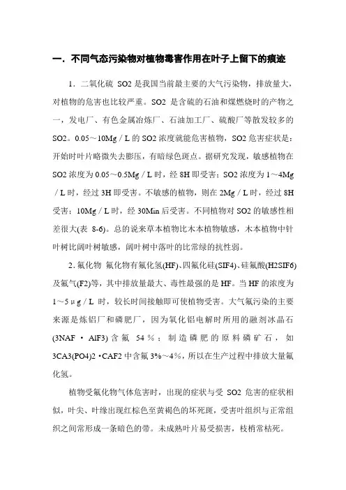 不同气态污染物对植物毒害作用在叶子上留下的痕迹