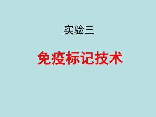 免疫标记技术