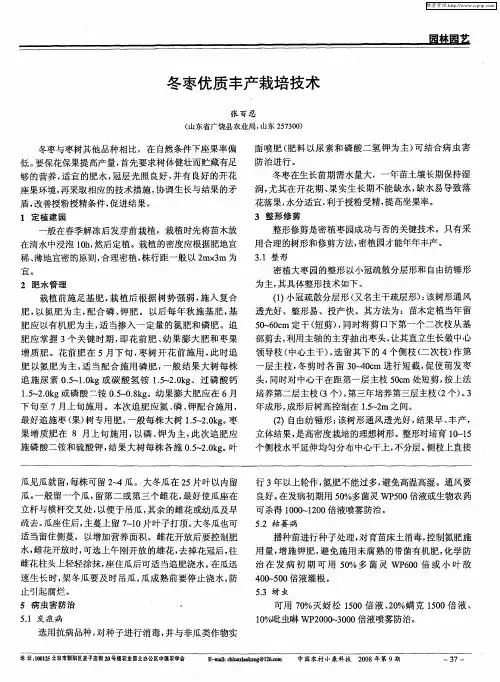 冬枣优质丰产栽培技术