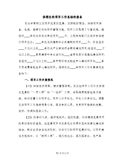 供销社的项目工作总结的报告（2篇）