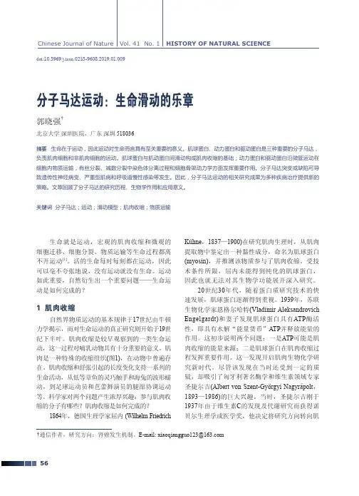 分子马达运动：生命滑动的乐章