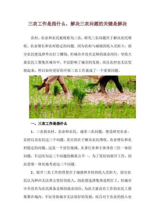 三农工作是指什么,解决三农问题的关键是解决