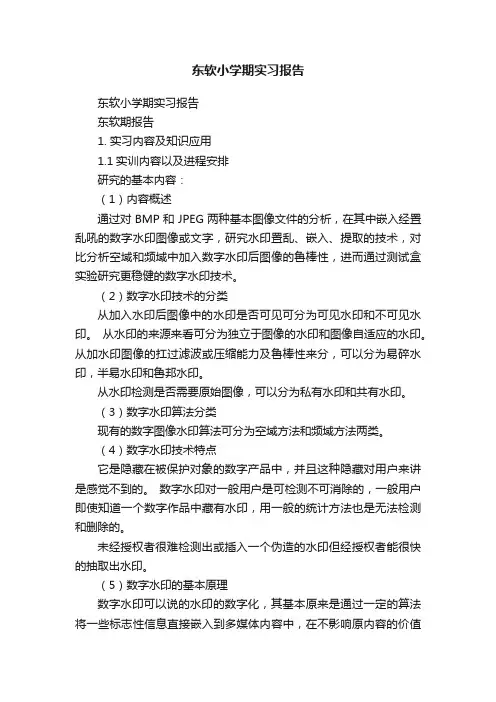 东软小学期实习报告