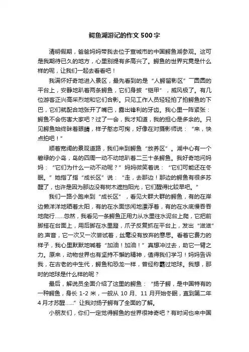 鳄鱼湖游记的作文500字