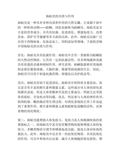 海蛤壳的功效与作用
