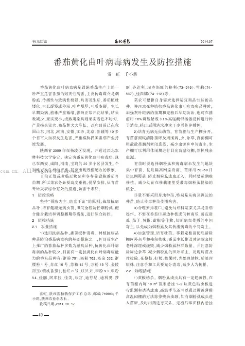 番茄黄化曲叶病毒病发生及防控措施