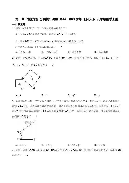 第一章 勾股定理 分类提升训练(含答案) 2024--2025学年 北师大版 八年级数学上册