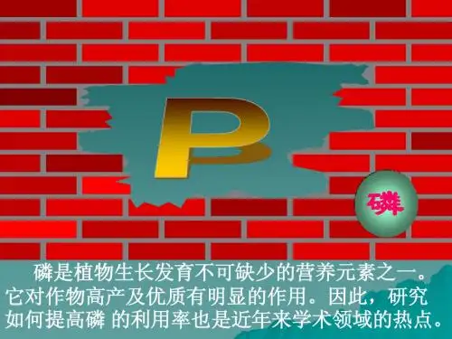 7.2磷肥