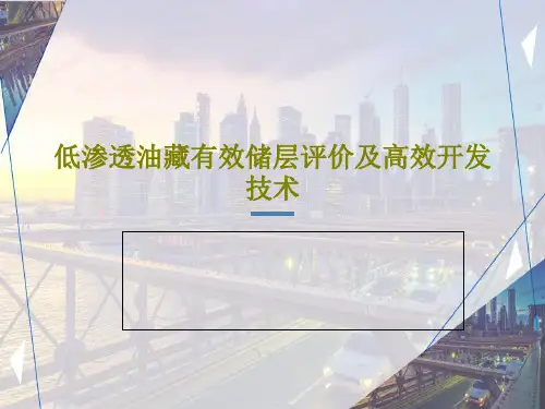 低渗透油藏有效储层评价及高效开发技术79页PPT