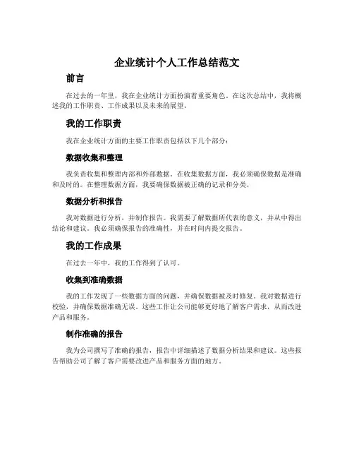 企业统计个人工作总结范文