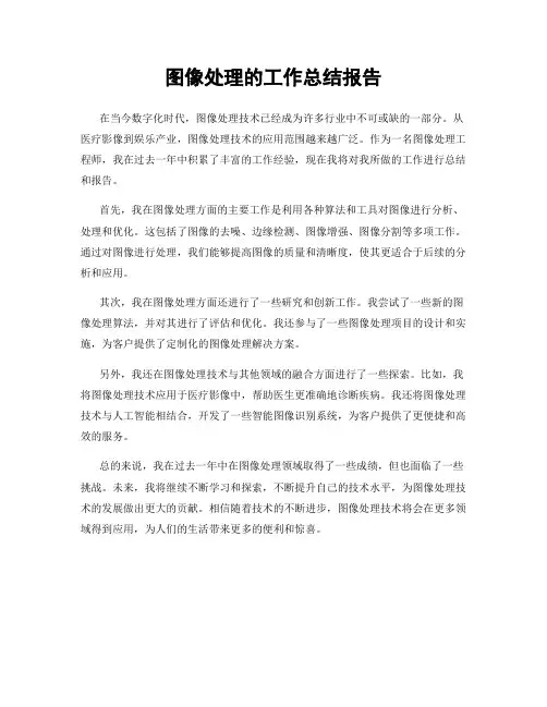 图像处理的工作总结报告